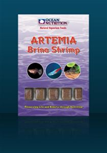 Artemia
