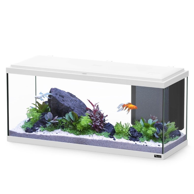 EXPLORER AMSTERDAM 80  BIO