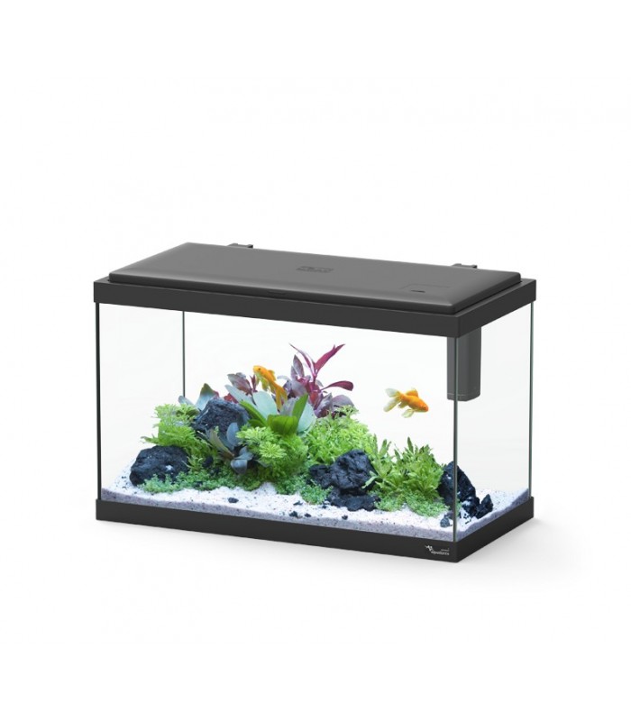 KIT Explorer Vienna 42L + LED +Filtro - Aquatlantis