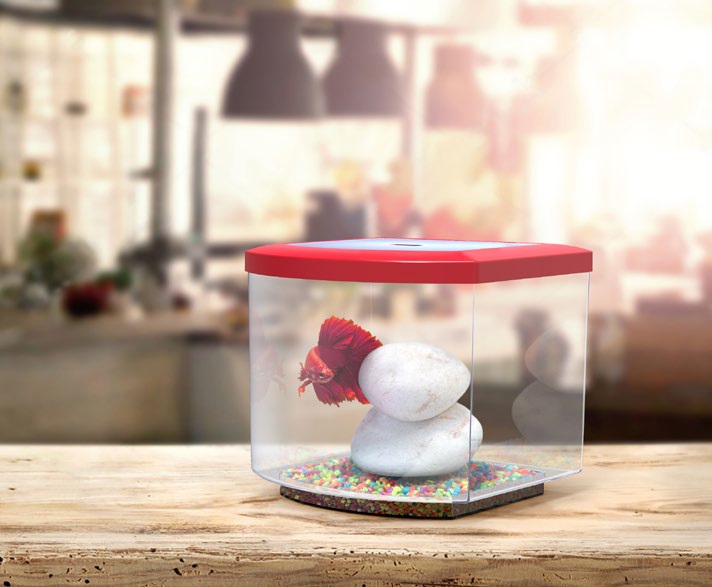 BETTAKUBU AQUATLANTIS