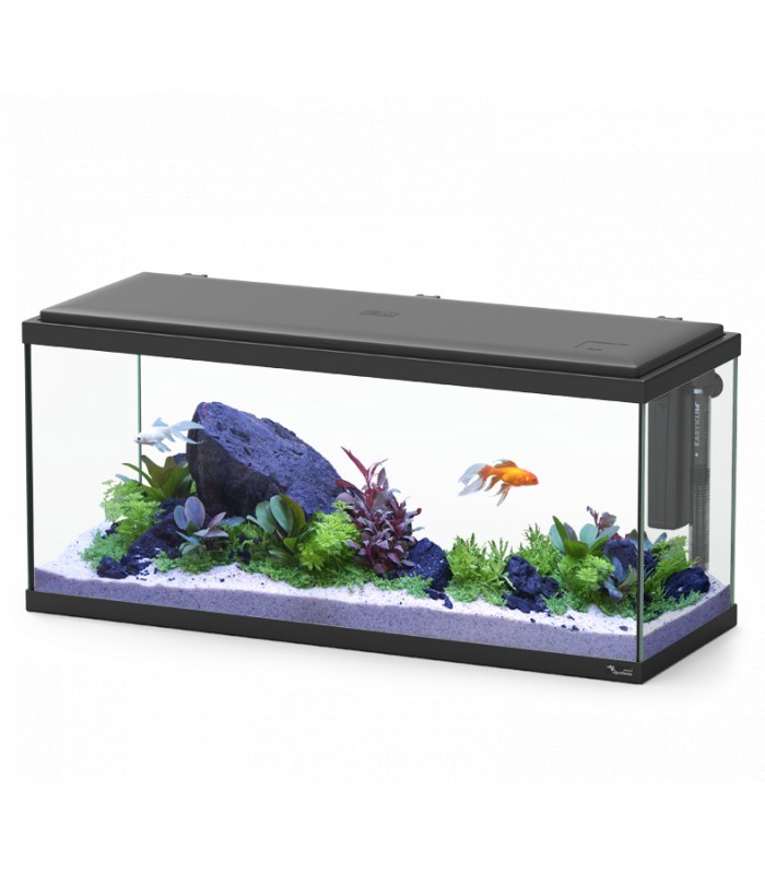 KIT Explorer Amsterdam 85L + LED + BioBox 1 – Aquatlantis