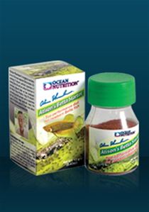 Atison's Betta Starter