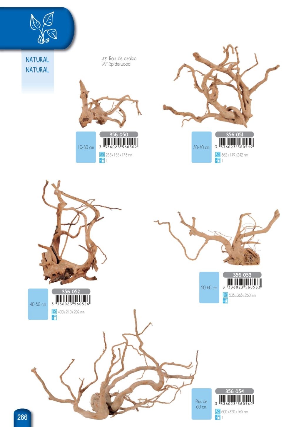 RAIZ DE AZALEA +60CM