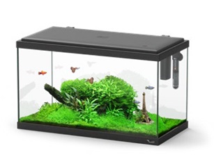 Kit Explorer Paris 60 Aquatlantis